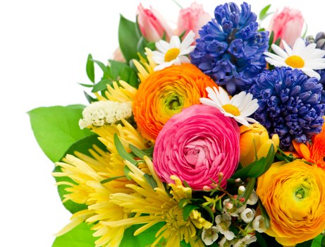 Variety of fresh flowers available for delivery