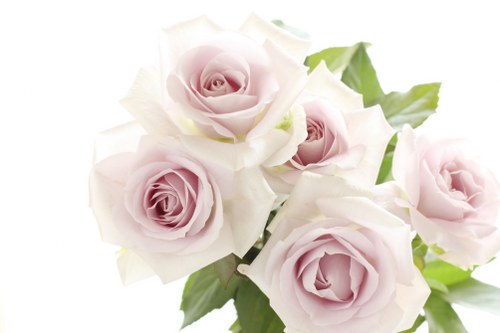 Professional florist preparing flower arrangements