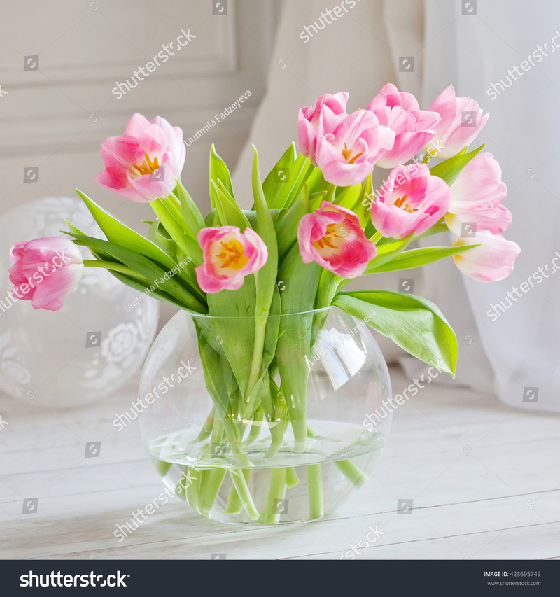 flowers carnations 